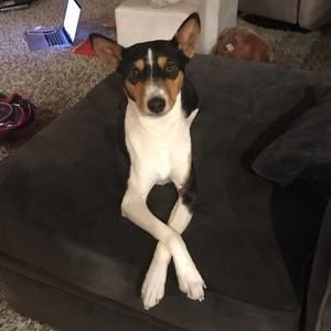 Meet your Posher, Nathan